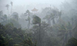 狂风暴雨是属于哪个季节的成语（狂风暴雨是属于哪个季节的成语呢）