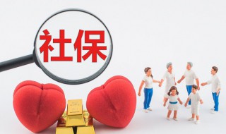 社保个人代码怎么查询（社保个人代码怎么查询不到）