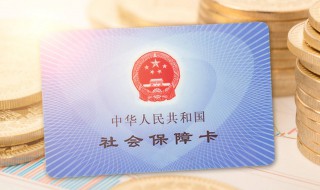 公司社保编号怎么查 公司社保编号怎么查看