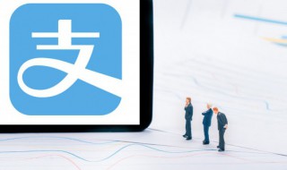 支付宝怎么查看转账记录（支付宝怎么查看转账记录个人）