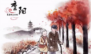 重阳节登高指的是（重阳节登高指的是什么）