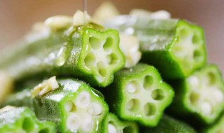 食物黏聚性是什么意思（食品粘聚性）