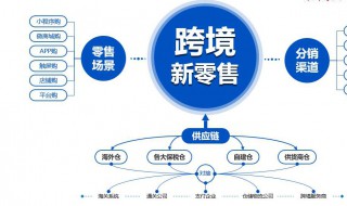 企业如何培养跨境电商人才 企业如何培养跨境电商人才优势