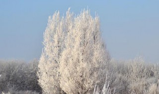 拍风景用什么定焦镜头好 定焦镜头适合拍风景吗