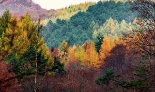 香山在哪个省（香山在哪个省份）