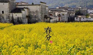 春分节气的习俗（春分节气俗语）