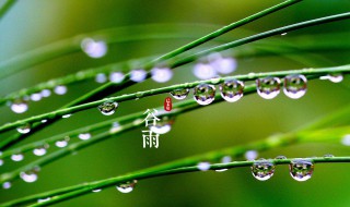 谷雨节气的诗词 谷雨节气的诗词歌赋