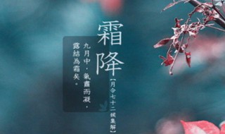 霜降节气介绍（霜降节气介绍幼儿园）