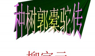 种树郭橐驼传文言知识 种树郭橐驼传文言知识整理