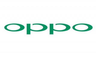 opporenoace高达定制版有什么不同（opporenoace高达定制版参数）