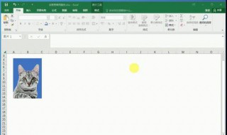 excel更改照片底色如何保存为图片（怎么在excel中更改照片底片颜色）