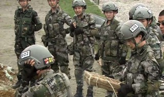 特种兵之火凤凰演员表（特种兵之火凤凰演员表全部女兵外号）