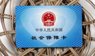 个人社保电脑号怎么查询 个人社保电脑号怎么查询深圳