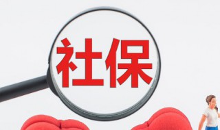 社保账户余额怎么查询（上海社保账户余额怎么查询）