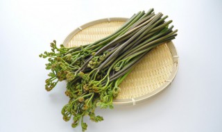 蕨菜干需要注意什么 干蕨菜禁忌有哪些