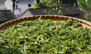 婺源茗眉有什么功效 金茗眉茶的功效