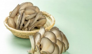蘑菇为什么不能和大米一起吃（蘑菇能和大米一起吃吗）