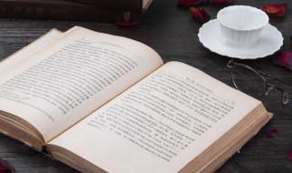 落花流水春去也天上人间是什么意思（流水落花春去也天上人间的意思）