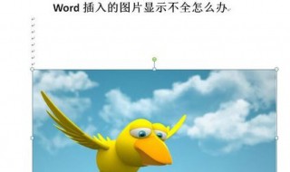 word图片显示不全只有一半怎么办（word表格中图片只显示一半）