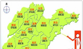 山东省多少人口2019（山东省多少人口2020总人数）