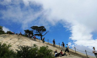 梦见上山（梦见上山采蘑菇是什么意思）