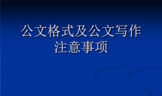 公文写签发人的格式（公文写签发人的格式及范文）