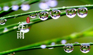 谷雨节气的含义（谷雨节气的含义和谚语）