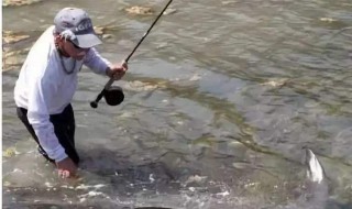 浮漂调目饵料钩重关系（钩重和浮漂调目的关系）