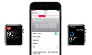 为什么手机appwatch无法扫描（applewatch无法连接手机）