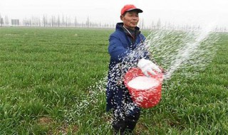 农家肥中有那些元素（农家肥主要含哪种元素较高）