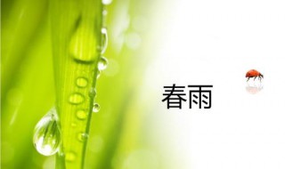 什么的春雨 什么的春雨断了线的珠子