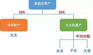 遗产继承分配比例（最新继承法2022遗产分配比例）