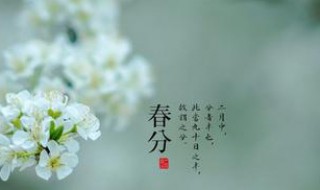 春分节气需要注意什么（春分时节应该注意什么）