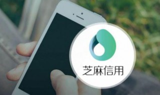 芝麻信用是什么集团的什么公司旗下的公司 了解一下