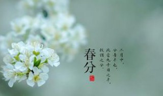 惊蛰后面是什么节气（惊蛰然后是什么节气）