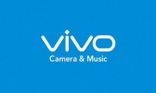 vivoz5支持内存卡扩展吗（vivo z5支持内存卡扩展卡吗）