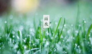 雨水经典祝福语（雨水经典祝福语简短）