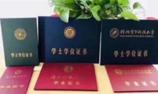 大专是什么学历与文化程度 大专以上文化程度和大专以上学历