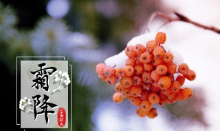 霜降节气微信朋友圈祝福语（霜降祝福语发朋友圈）