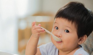 宝宝调理脾胃的食谱 宝宝调理脾胃食物