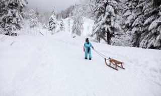 看雪发朋友圈唯美短句（看雪发朋友圈的精美句子）