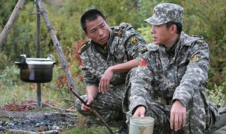 兵峰剧情介绍 电视剧兵峰