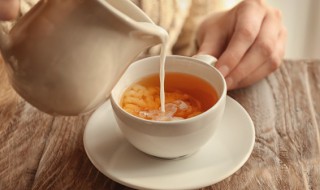 奶粉怎么做奶茶（奶粉怎么做奶茶吗）