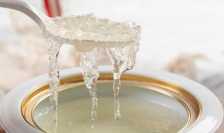冰糖燕窝做法 怎样做冰糖燕窝