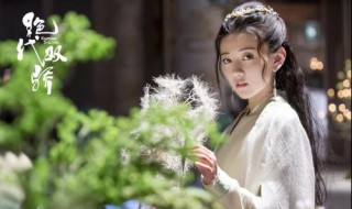 绝代双骄藏宝图藏的是什么（绝代双骄藏宝图藏的是什么东西）
