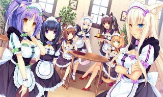 nekopara3怎么用手机玩（nekopara4怎么玩）