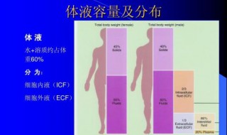 最简单反映体液量是否补足的指征是（纠正体液平衡紊乱时对补液量描述正确的是）