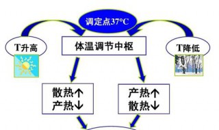 举例说明控制中的反馈措施 举例说明控制中的反馈措施怎么写