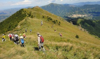 梦见爬山（梦见爬山看到美丽风景）