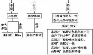 化学反应的基本类型有哪些（化学反应的基本类型有哪些特点）